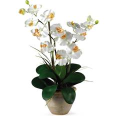 Nearly Natural 25 Double Stem Phalaenopsis Silk Orchid Flower