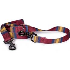Pendleton Olympic National Park Adventure Dog Collar