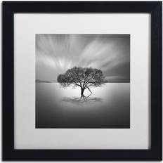 Wall Decor Trademark Fine Art Water Tree VIII Moises Levy Nature Print Wall Decor