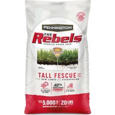 Tall fescue grass seeds Pennington The Rebels 20-lb Tall Fescue Grass