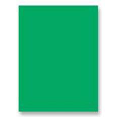 Watercolor Paper Paconï¿½ Decorolï¿½ Flame-Retardant Paper Roll, 36" x 1000' Festive Green