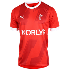 Puma DHF Denmark Home Jersey 22/23 Youth