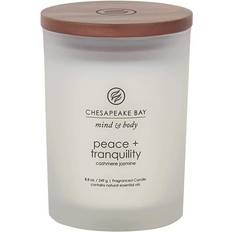 Chesapeake Bay Candle Peace + Tranquility Scented Candle