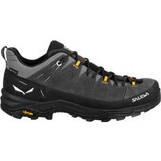 Wildleder Trekkingschuhe Salewa Alp Trainer 2 Gore-Tex M