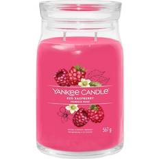 Schwarz Duftkerzen Yankee Candle Red Raspberry Signature Duftkerzen