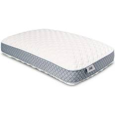Pillows Sealy Standard Molded Memory Foam Bed Pillow (61x40.6)