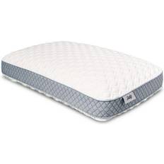 Sealy Standard Molded Memory Foam Bed Pillow (61x40.6)