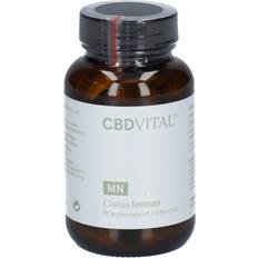 Cbd vital CBD VITAL Cistus Immun