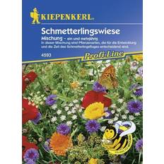 Blumensamen Kiepenkerl Schmetterlingswiese Inhalt: 5