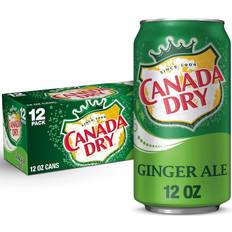 Food & Drinks Dry Ginger Ale Soda, 12