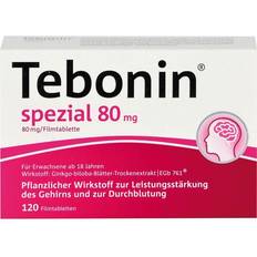 Vitamine & Nahrungsergänzung Tebonin spezial 80 mg Filmtabletten