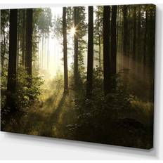 Design Art Early Morning Sun in Misty Forest Framed Art 40x30"