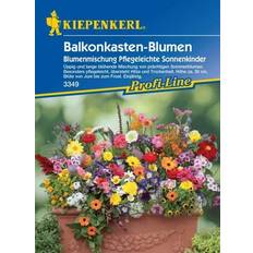 Saatgut Kiepenkerl Balkonkasten-Blumen Mix Inhalt: ca. 4