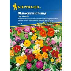 Saatgut Kiepenkerl Last Minute Blumenmischung Inhalt: 4