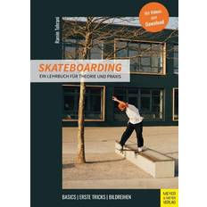 Kugellabyrinthe reduziert Skateboarding