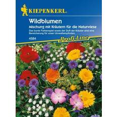 Blumensamen Kiepenkerl Saatgut Wildblumen