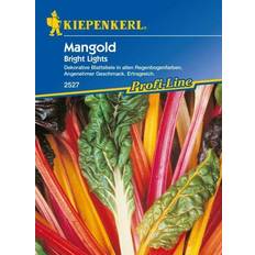 Pflanzen Kiepenkerl Mangold Bright Lights Beta vulgaris var. vulgaris, Inhalt: