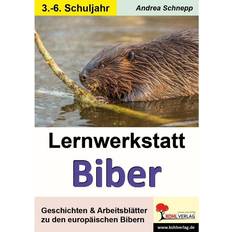 Lernwerkstatt Biber