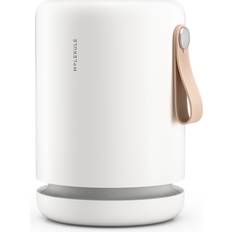 Hepa air purifier for mold Molekule Air Mini+