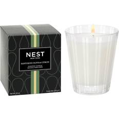 Black Scented Candles NEST New York Santorini Olive & Citron Classic Scented Candle 8.1oz