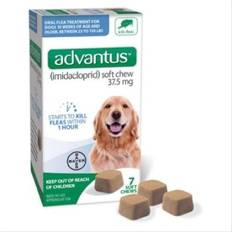 BAYER Animal Health Advantus Soft Chew