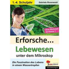 Mikroskope & Teleskope reduziert Erforsche Lebewesen unter dem Mikroskop