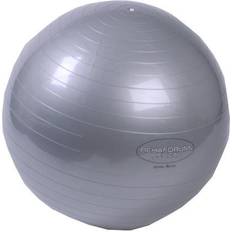 Trainingsgeräte Gymnastikball Rehaforum 65 cm silber metallic