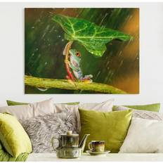 Bilder Tiere Querformat Ein Frosch Bild