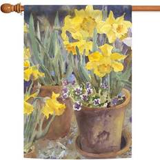 Toland Garden Potted Daffodils Summer Spring Flag Double Sided 28x40