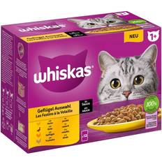 Whiskas Multipack 1+ Geflügel Auswahl