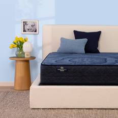 Bed Mattresses Serta Perfect Sleeper Dazzling Night Bed Mattress