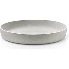 Blomus Moon Stoneware Modern & Contemporary Dinner Plate