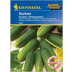 Gemüsesamen Kiepenkerl Einlegegurke sativus Cucumis »Excelsior«