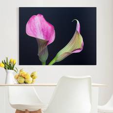 Schwarz Bilder Ebern Designs Calla Nahaufnahme Bild