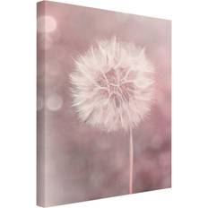 Ebern Designs Pusteblume von Andrea Haase Bild