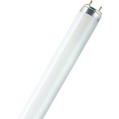 Röhrenförmig Leuchtstoffröhren Osram Lumilux T8 Fluorescent Lamp 18W G13
