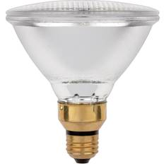 E27 LED Lamps Westinghouse Bulb hlgn par38 38w ww