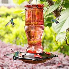 Juegoal Glass Hummingbird Feeders Outdoors 26 Wild Bird Feeder