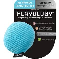 Playology Squeaky Chew Stick Dog Toy Peanut Butter