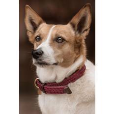 Kentucky Dogwear Hundehalsband geknüpftes Nylon Bordeaux 37cm