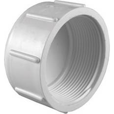 Sewer Pipes Charlotte Pipe & Foundry PVC021171400 1.25 in. Schedule 40 Fpt PVC Cap