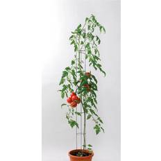 Bellissa, Pflanzen Zubehör, Tomatensäule 18