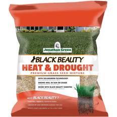 Seeds Jonathan Green Black Beauty 3 Lb. Texas Bluegrass Heat & Drought Grass Seed 1