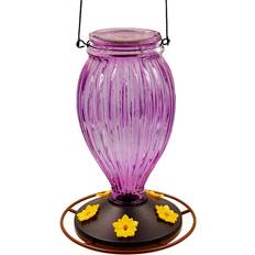 Juegoal Glass Hummingbird Feeders for Outdoors Bird Feeder