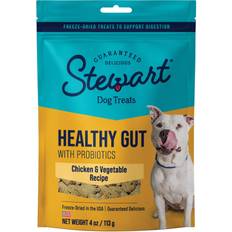 Stewart Healthy Gut Freeze Dried Chicken & Vegetables Recipe Dog