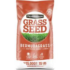 Seeds Pennington Bermuda Grass Full Sun Grass Seed