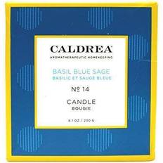 Candlesticks, Candles & Home Fragrances with Essential Oils Other Thoughtfully Chosen