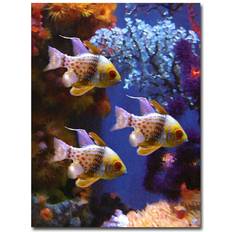 Trademark Fine Art "Three Pajama Fish" Amy Vangsgard Painting Print on Poster