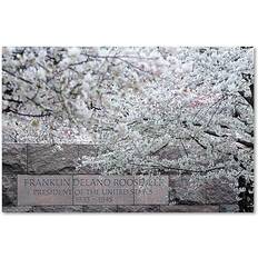 Trademark Fine Art "Cherry Blossoms 2014-4" Photographic Print on Framed Art