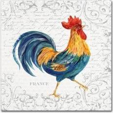 Trademark Fine Art Rooster Canvas Irina Trzaskos Studio Framed Art